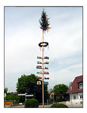 Maibaumetzen Maibaumetzen